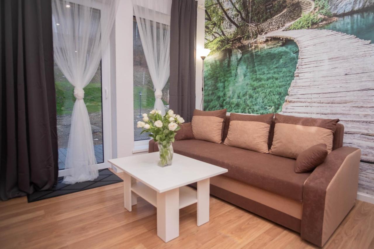 Stronie Śląskie Apartamenty Goszowita מראה חיצוני תמונה