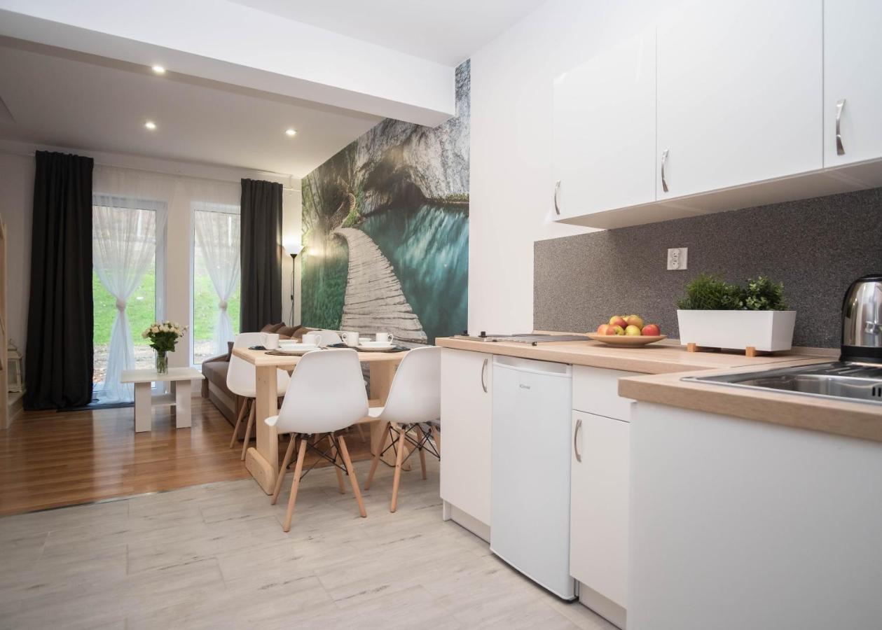 Stronie Śląskie Apartamenty Goszowita מראה חיצוני תמונה