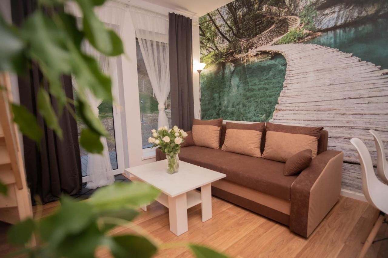 Stronie Śląskie Apartamenty Goszowita מראה חיצוני תמונה
